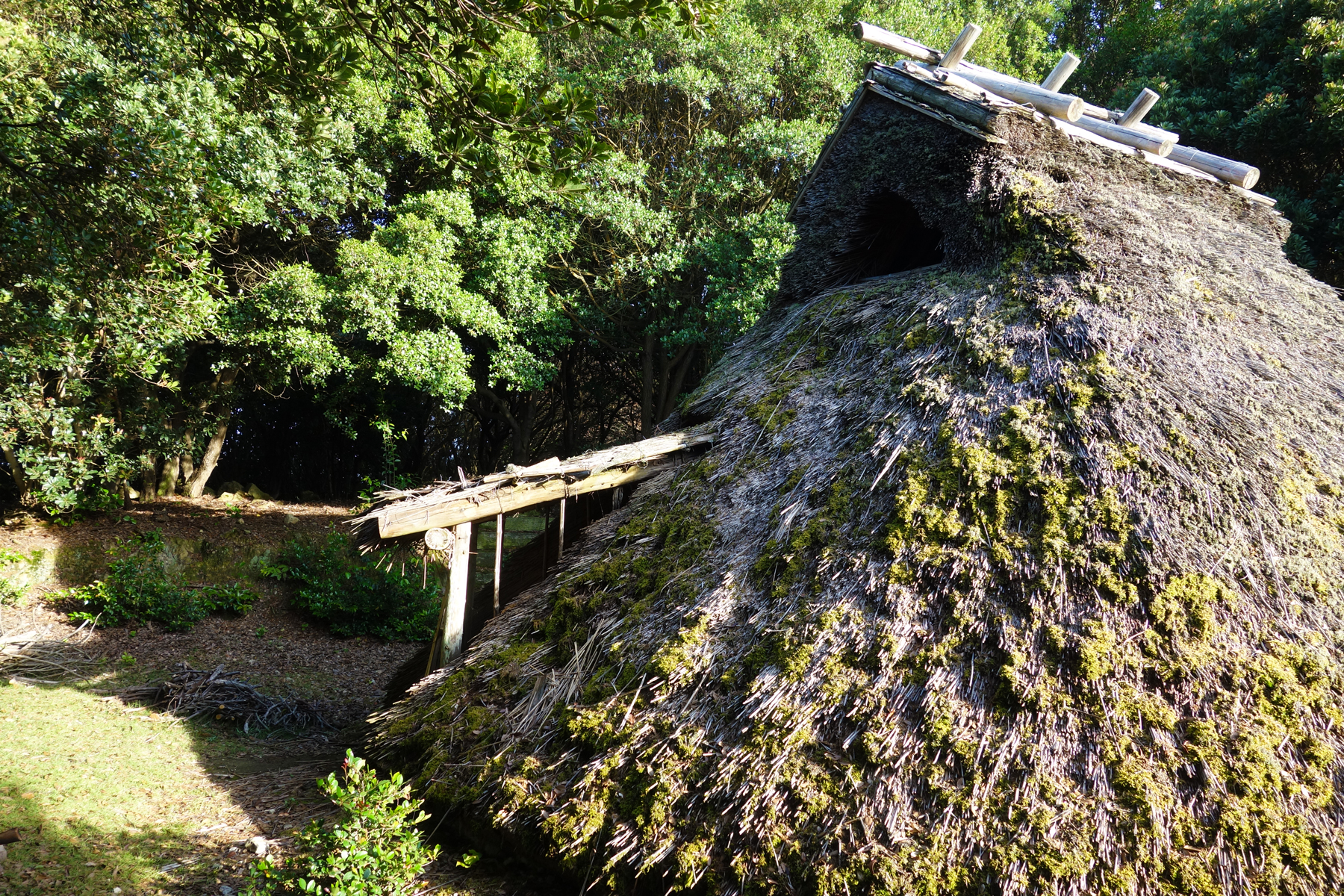 竪穴式住居で寝泊り