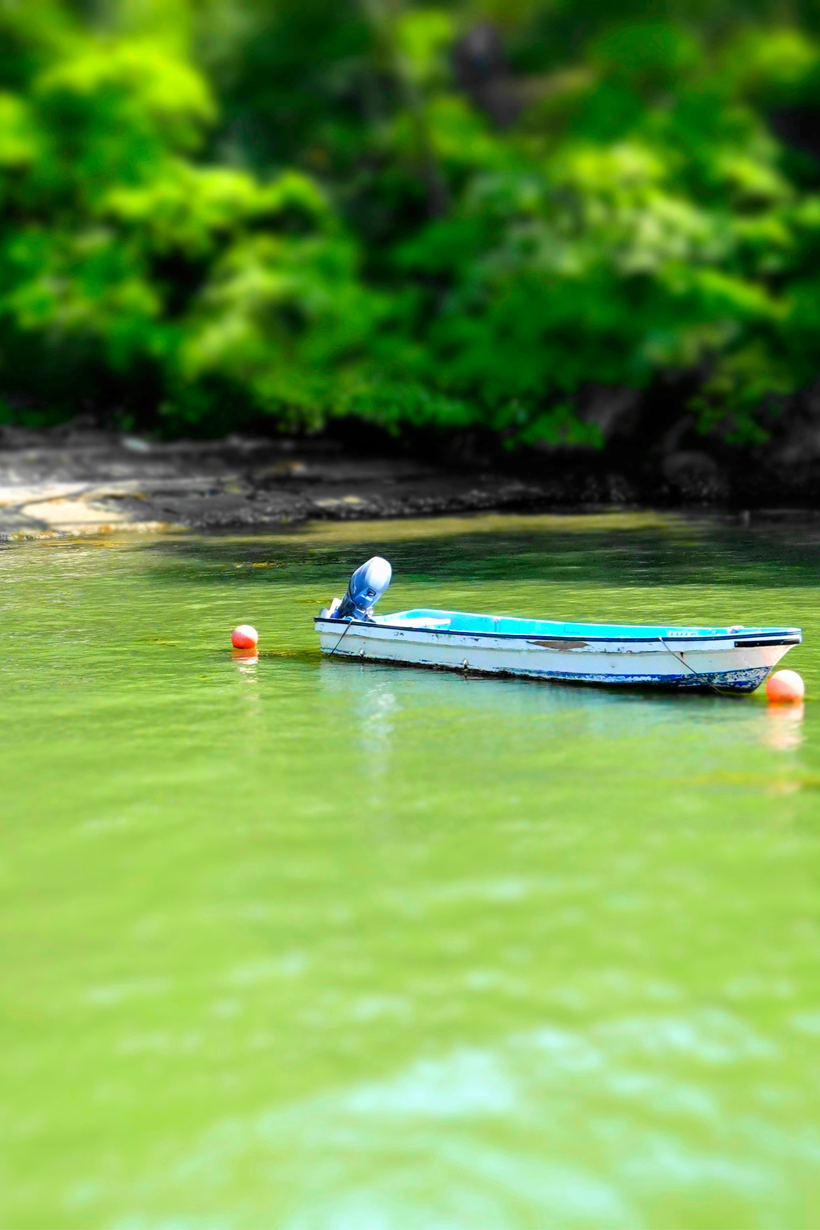 無人島鶴島へ向かうためのボート