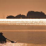 様々な船を用意