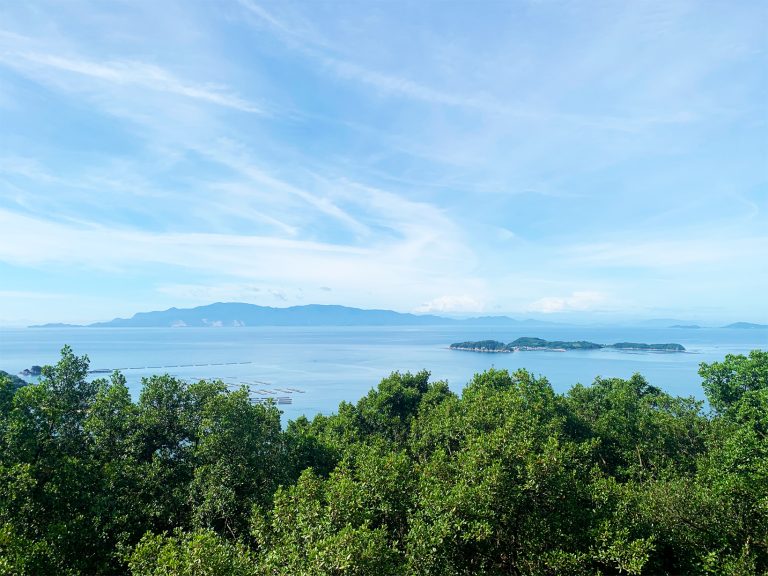 瀬戸内海を望む
