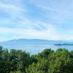 展望台からの景色