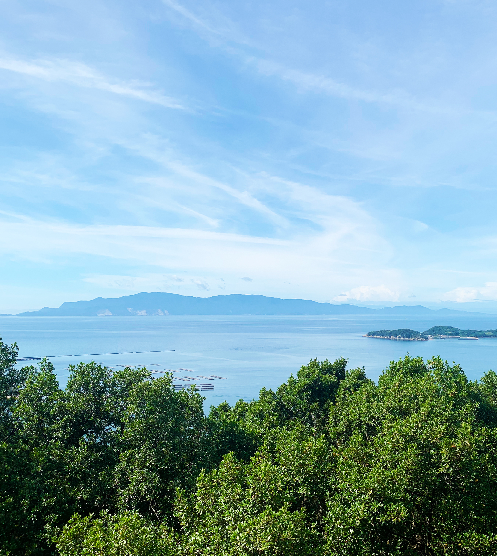 展望台からの景色